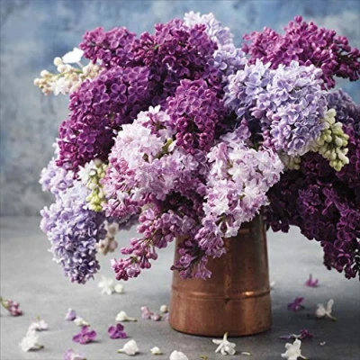 Image of Blank Card (Ukg386957) Purple Flowers in Copper Vase from The Camden Graphics Range