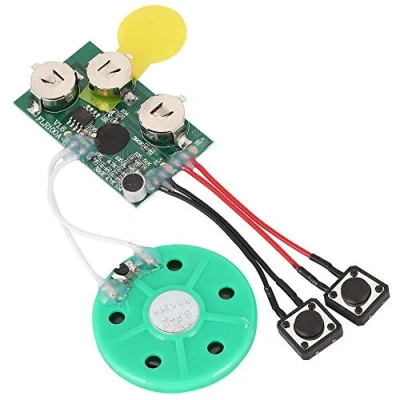 Image of Goshyda Greeting Card Chip, 120 Seconds Recordable Voice Sound Chip Module for DIY Homemade Cards, Gift Boxes, Invitations, Handmade Products, etc