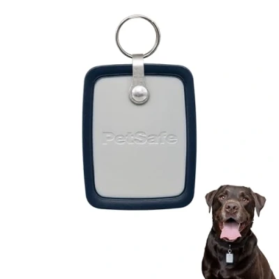 Image of PetSafe® Pet Door Key, Large