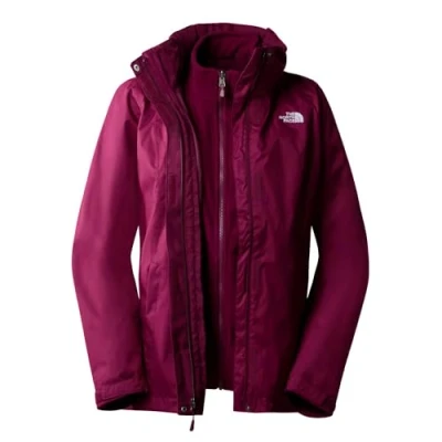 Image of THE NORTH FACE Evolve II Jacket Boysenberry/Fawn Grey XS