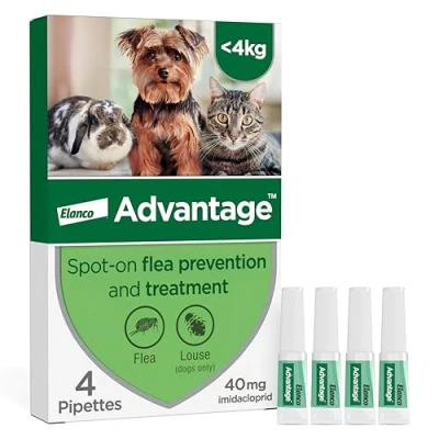 Image of Advantage Spot On Flea Treatment 40 Small Cats Dogs and Rabbits, 4 pipettes