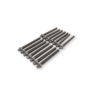 Image of 06A103385C, 06A103385C10x, 06A103385Cx10 Cylinder Head Bolt Kit BGA BK5343 Female Splined (Ribe CV ) 10 VOLKSWAGEN: Golf 4, 4 Variant