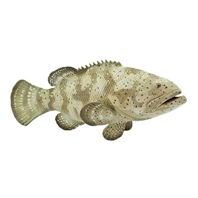 Image of Safari S265329 Goliath Grouper,Multicolor