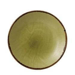 Image of Dudson Harvest Deep Coupe Plates Green 281mm (12 pack)