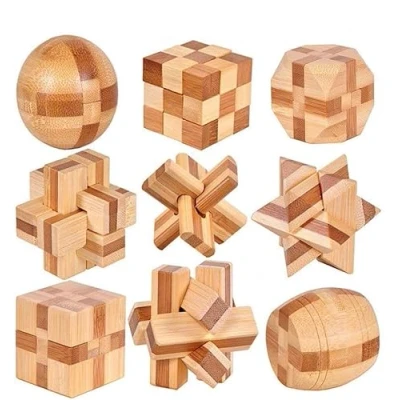 Image of YGZN 9pcs Wooden Blocks Brain Teaser Puzzles Set 3D Interlocking Wood Jigsaw Games IQ Challenge Toy Mind Game Gift for Kids and Teens (Wooden 9Set)