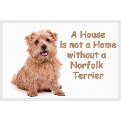 Image of Norfolk / Norwich Terrier Fridge Magnet Gift A House is not Home