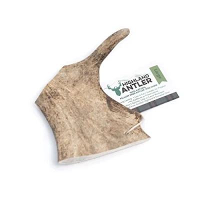 Image of Highland Antler Natural Fallow Dog Chew. Pack of 1x Large (150g 220g) Naturally Shed Deer Antler, Long Lasting Chew Bone With Calcium And Minerals (Shape may vary)