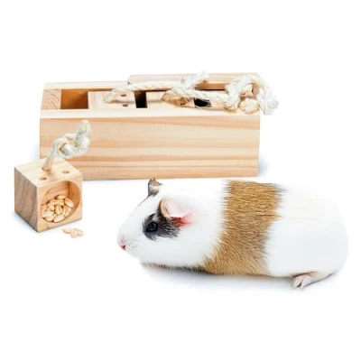 Image of Karlie Rody Brain Train Cube, 4 Blocks Length 21.5 cm Width 8.5 Height 7.5 Natural