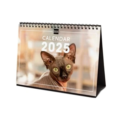 Image of Finocam International 2025 Desktop Photo Calendar Month View January December (12 months) Cats