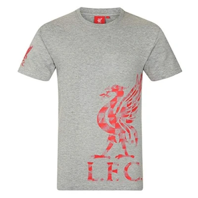Image of Liverpool FC Official Football Gift Kids Graphic T Shirt Grey 6 7 Years