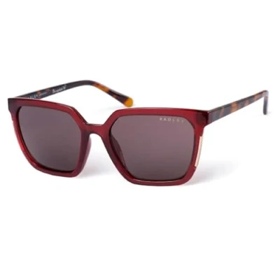 Image of Radley Square Womens Transparent Burgundy Brown Allington 6506 Red One Size