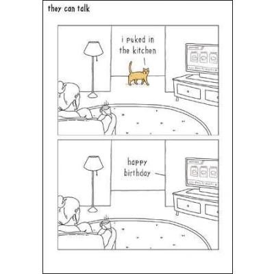 Image of Illustrated Humorous Male/Female Birthday Card from The They Can Talk Range Cat, I Puked in Kitchen Greeting for Him/for Her (WDM 448935)