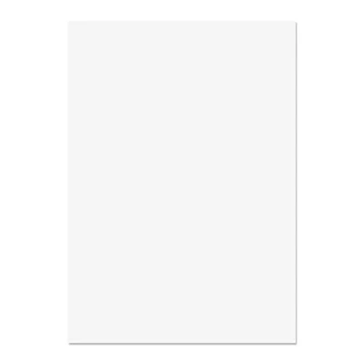 Image of Blake Business A4 297 x 210 mm 120 gsm Paper (31677) Ice White Wove Pack of 500