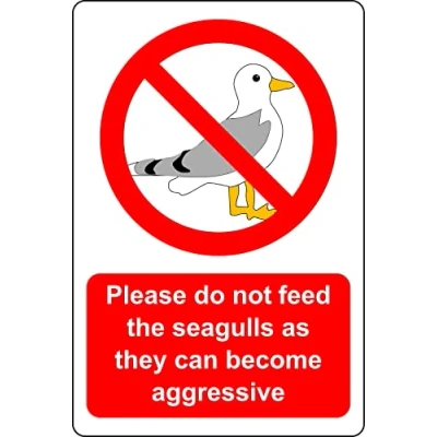 Image of Please do not feed the seagulls as they can become aggressive Safety sign Self adhesive sticker (300mm x 200mm)