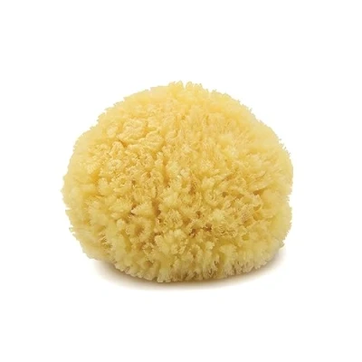 Image of Neptune Natural Caribbean Sea Sponge All Renewable (5 inch)