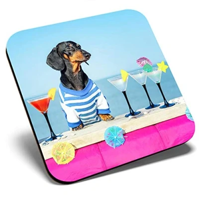 Image of Great Single Coaster Square Funny Dachshund Cocktail Glossy Quality Coasters Tabletop Protection for Any Table Type #2119