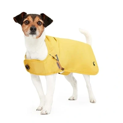 Image of Rosewood Joules Antique Gold Raincoat Extra Small