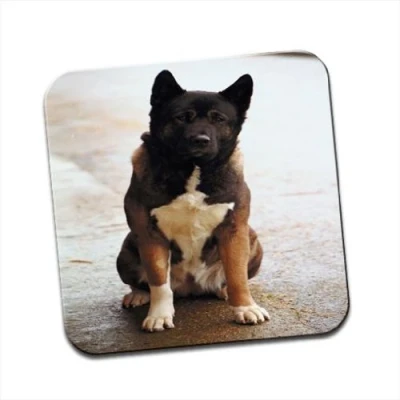 Image of Akita Dog Sitting Single Premium Glossy Wooden Coaster