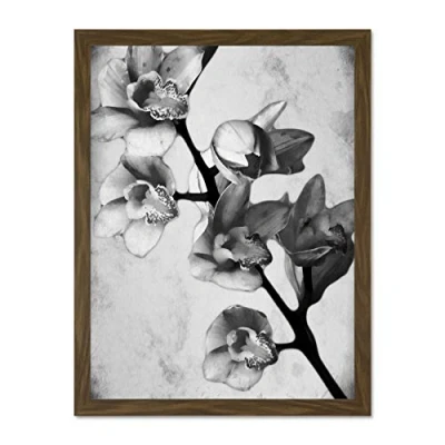 Image of Wee Blue Coo Nature Flower Plant Orchid Black White Large Framed Art Print Poster Wall Decor 18x24 inch