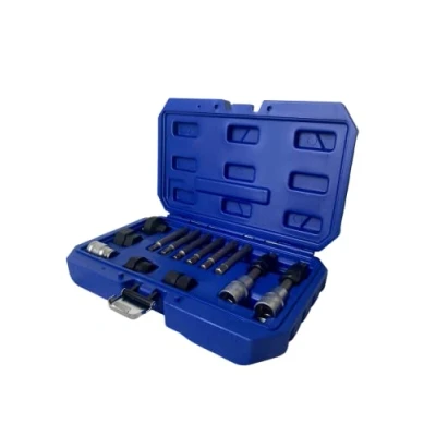 Image of Dunnet Tools 13 Piece Alternator Free Wheel Pulley Removal Kit With Gloves Car Garage Tool Bit Set Mechanics Hand Automotive Professional Heavy Duty