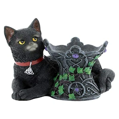 Image of Nemesis Now Cosmo Figurine 13cm Black, Resin