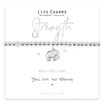 Image of Life Charms You Are So Strong bracelet