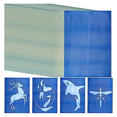 Image of liovitor 30 Sheets Sun Print Paper Kits Cyanotype Kit A4 Nature Printing Solar for Kids Adults DIY Art Crafts Project