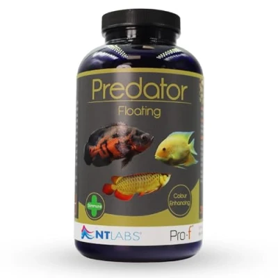 Image of NT Labs Pro f Predator Floating, Monster Fish Food, Aquarium Floating 4.5mm Pellet, Nutritious Feed, SIZE 360 gm