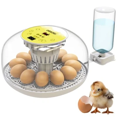 Image of Okkobi M12 Egg Incubator with Automatic Turning and Humidity Control 12/24 Eggs, 360 View, Easy to Use Clean Incubators for Hatching Incubadora de Huevos Gallina White &amp; Yellow