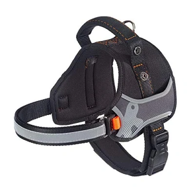 Image of Dog Harness HERCULES EXTRA SMALL, Adjustable, Padded, Resistant, Scratchproof, Visible in the Dark, with Handle
