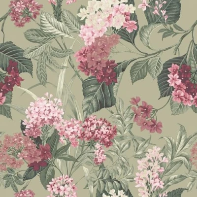 Image of Belgravia Decor Misaki Floral Bold Flower Themed Wallpaper Ideal for Bedrooms, Living Rooms, Hallways and Dining Rooms Sage Green/Pink 2321
