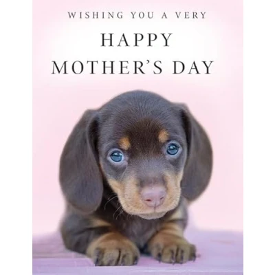 Image of Piccadilly Greetings Mother&#039;s Day Card, Wishing You a Very Cute Sausage Dog 8 x 6 inches