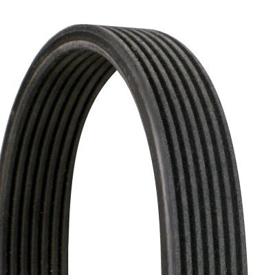 Image of 11287808107, 11288477788, 7808107 V ribbed belt CONTITECH 7DPK1697 1697mm 7 BMW: 5 Saloon, Touring