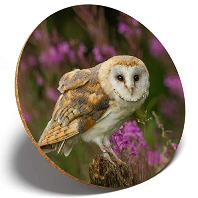 Image of 1 X Pretty Barn Owl Round Coaster Kitchen Student Kids #15813