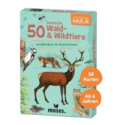 Image of moses 9739 Card Set, Multicoloured