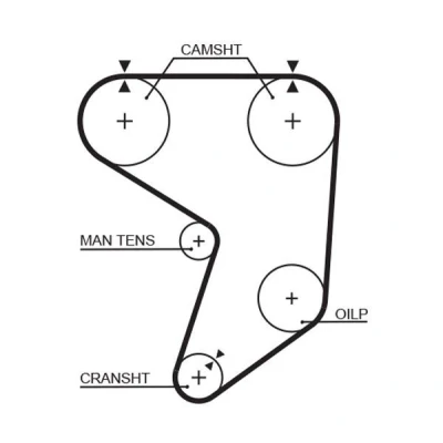 Image of A100E6170S Timing Belt GATES FleetRunner Micro V Stretch Fit 5195XS 159 1272mm 25,4mm LOTUS: Elan Convertible