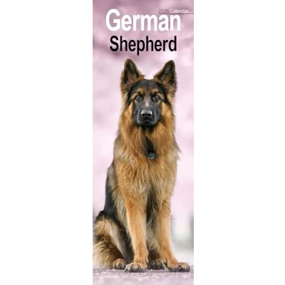 Image of German Shepherd Slim Calendar 2026