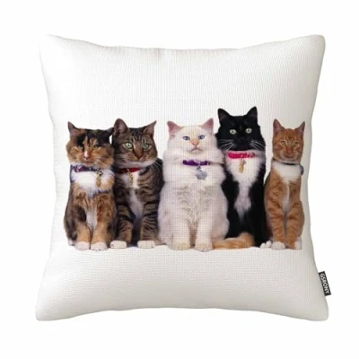 Image of GSRONY Cats Throw Pillow Covers Cute Cat Animal Cushion Case Home Decor Pillowcase 18x18 Inches