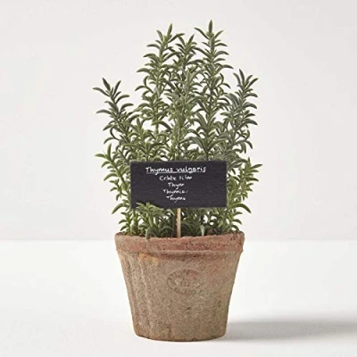 Image of HOMESCAPES Artificial Thyme in Terracotta Pot Decorative Faux Herbs Potted Distressed Planter for Indoor Decoration, 16 cm Tall