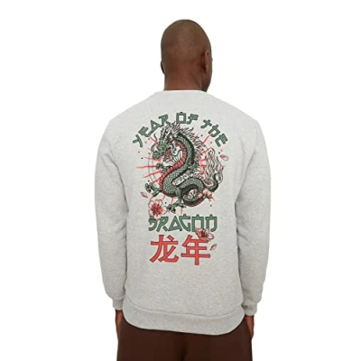 Image of Trendyol Man Regular Basic Crew neck Knit Sweatshirt Gray