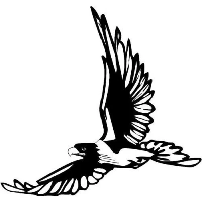 Image of LightningSigns Flying Eagle Car,Camper Bike Van Window Stickers Decals
