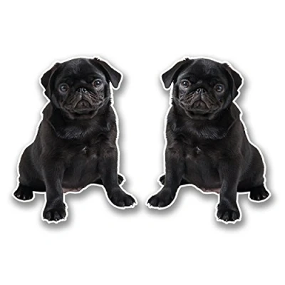 Image of 2 x 10cm Black Pug Vinyl Sticker Decal Laptop Tablet Car Dog Animal #6298 (7.5cm Wide Tall)