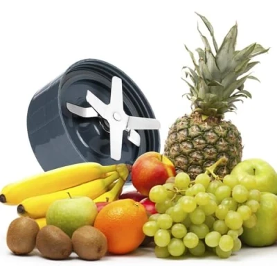 Image of Replacement Extractor Blade Stainless Steel Base Juicer Accessories Part Fits for 600/900W NB Blender(600W)