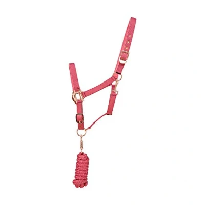 Image of Y H HY Rose Gold Lead Rope &amp; Head Collar Pony Blush Pink