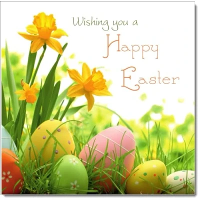 Image of doodlecards Pack of 8 Easter Cards Daffodils and Eggs, Standard Square