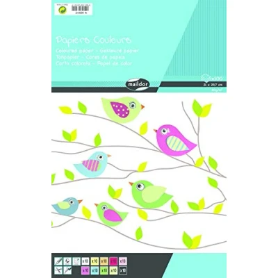 Image of Clairefontaine Ref 26501C Maildor Coloured Paper (Pack of 100 Sheets ) A4 (210 x 297mm) in Size, 80gsm Paper, Deep Dyed Colours Assorted