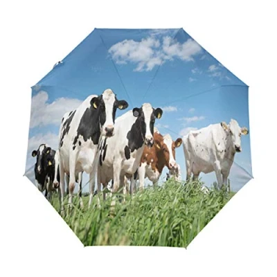 Image of HMZXZ RXYY Animal Cow Print Folds Auto Open Close Umbrella for Women Men Boys Girls Windproof Compact Travel Lightweight Rain