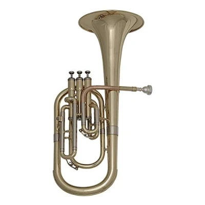 Image of Roy Benson Eb Althorn MOD.AH 301 lackiert mit Koffer
