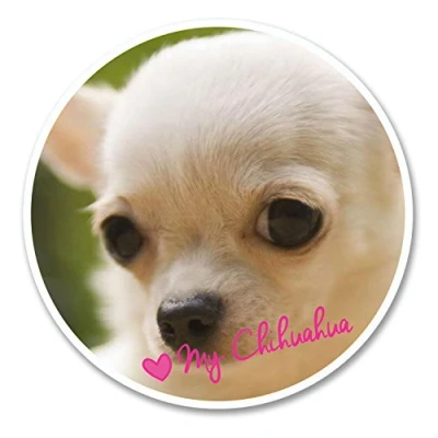 Image of 2 x 10cm Pretty Chihuahua Dog Sticker Decal Tablet Laptop Car Fun Animal #6134 (10cm 10cm)