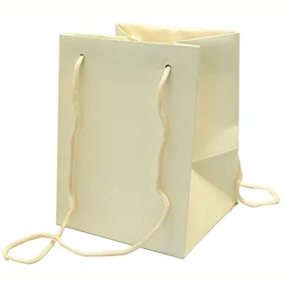 Image of Pack of 10 Hand Tied Florist Flower Gift Bags with Rope Handle Colour Choice (Ivory)